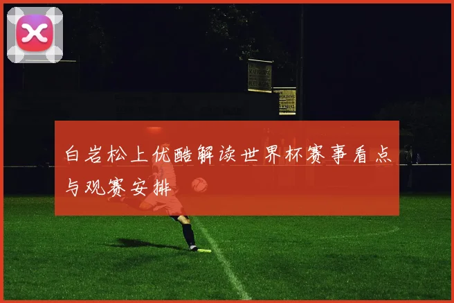 白岩松上优酷解读世界杯赛事看点与观赛安排